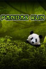 Panda’s Run