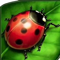 lucky-ladys-charm-deluxe-ladybug