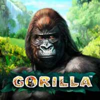 gorilla-slot