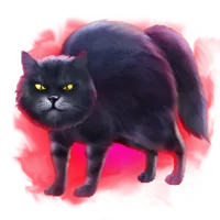 spooky-vibes-accumul8-black-cat