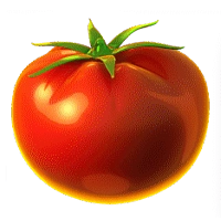 flaming-tomatoes-cash-shot-tomato