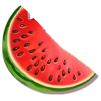 fruit-machine-x25-watermelon