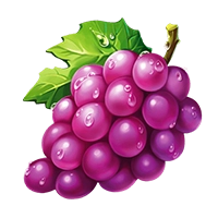 energy-coins-hold-and-win-grape
